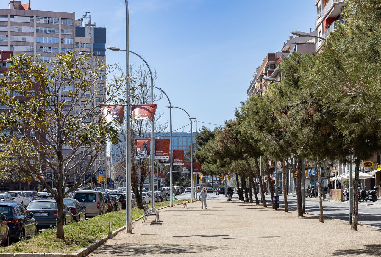 L'Antiga Esquerra de l'Eixample