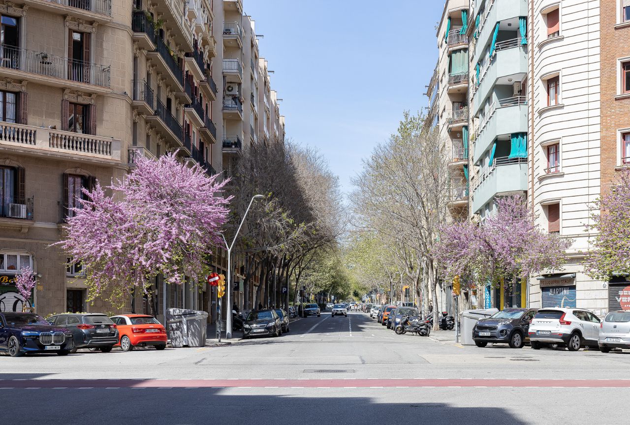 L'Antiga Esquerra de l'Eixample