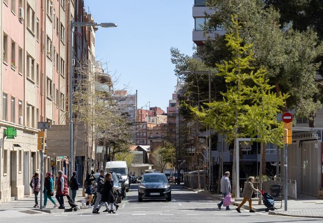 sants 6